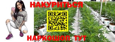 apvp Донской