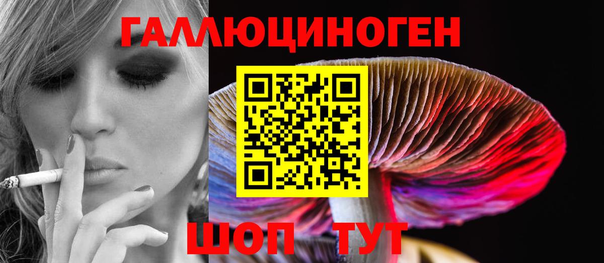 Псилоцибиновые грибы мицелий Невинномысск