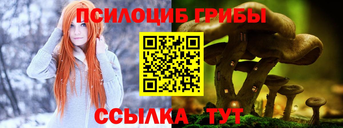 Невинномысск  Псилоцибиновые грибы Magic Shrooms  Вход с VPN  Псилоцибиновые грибы Magic Shrooms 